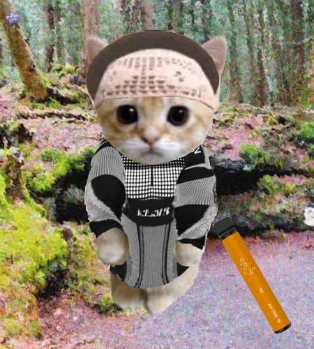 Cate #78