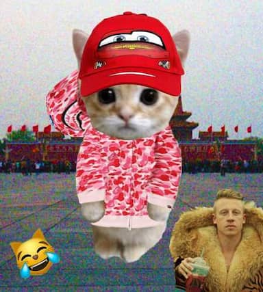 Cate #80