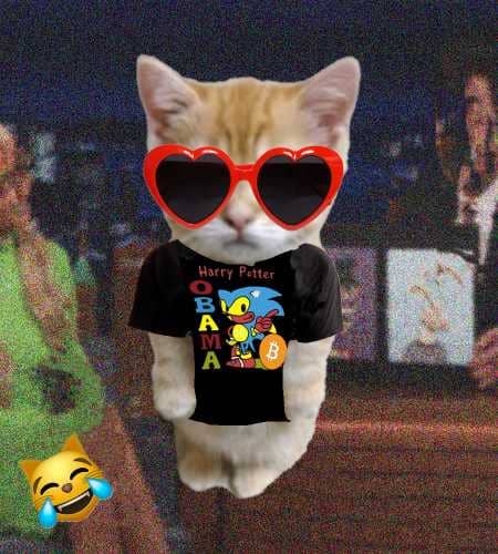 Cate #901