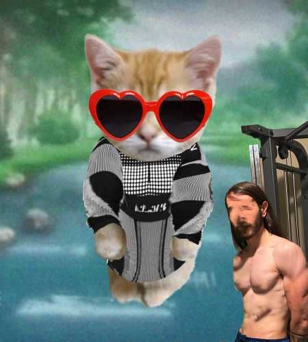Cate #966