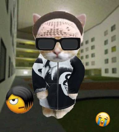 Cate #973