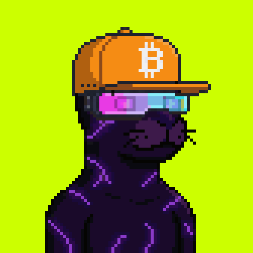 Robinhood Seals #2363