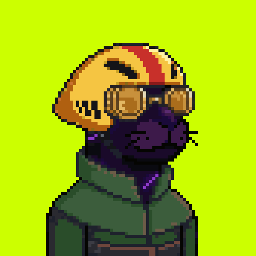 Robinhood Seals #2672