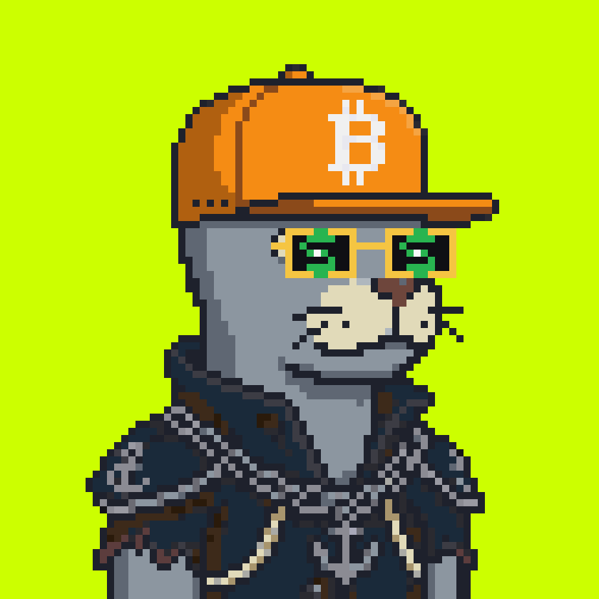 Robinhood Seals #2695