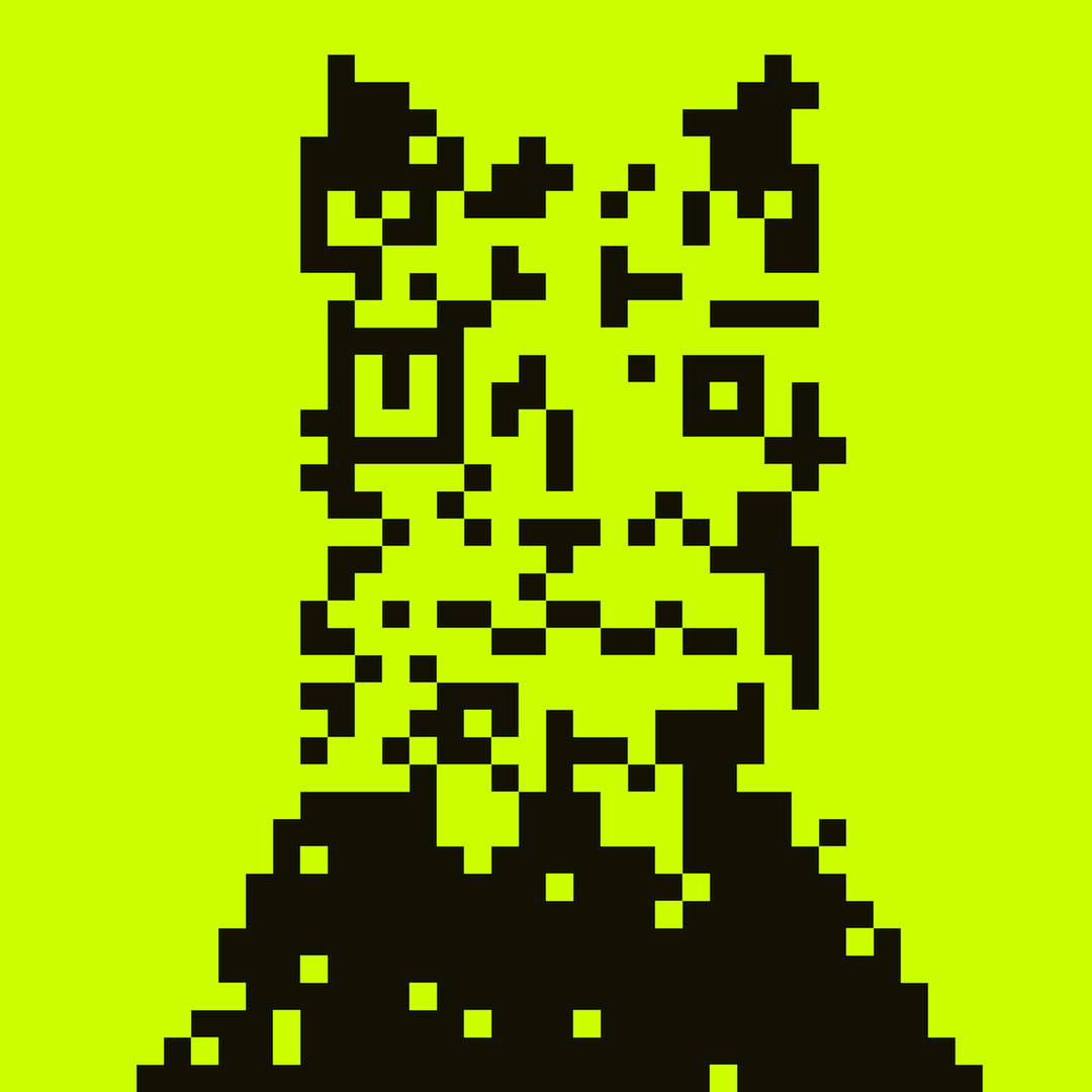 HoodCat #2579