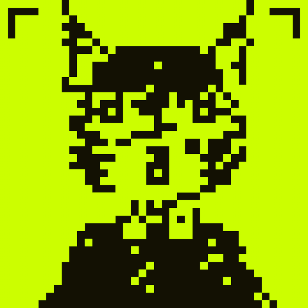 HoodCat #5047