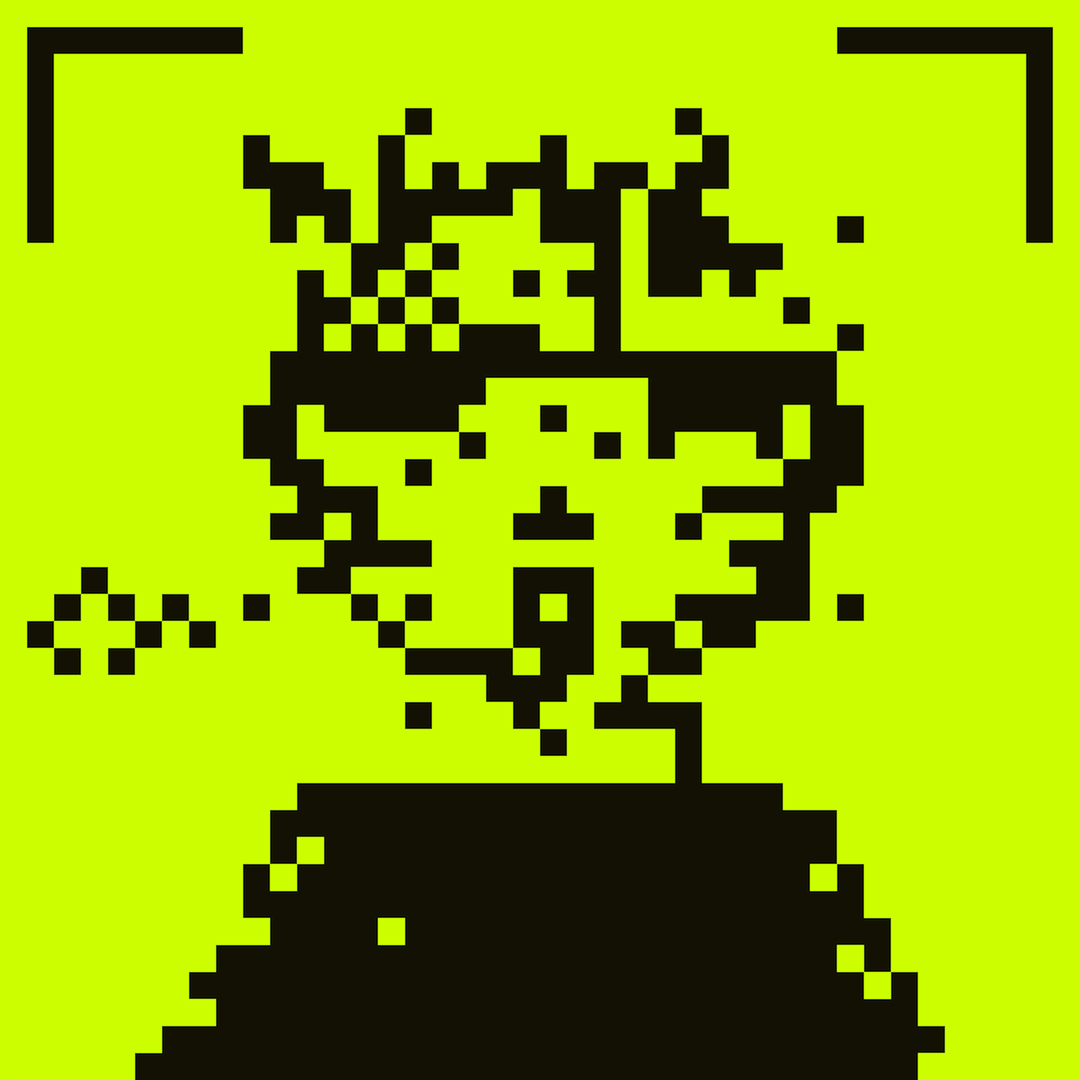 HoodCat #65