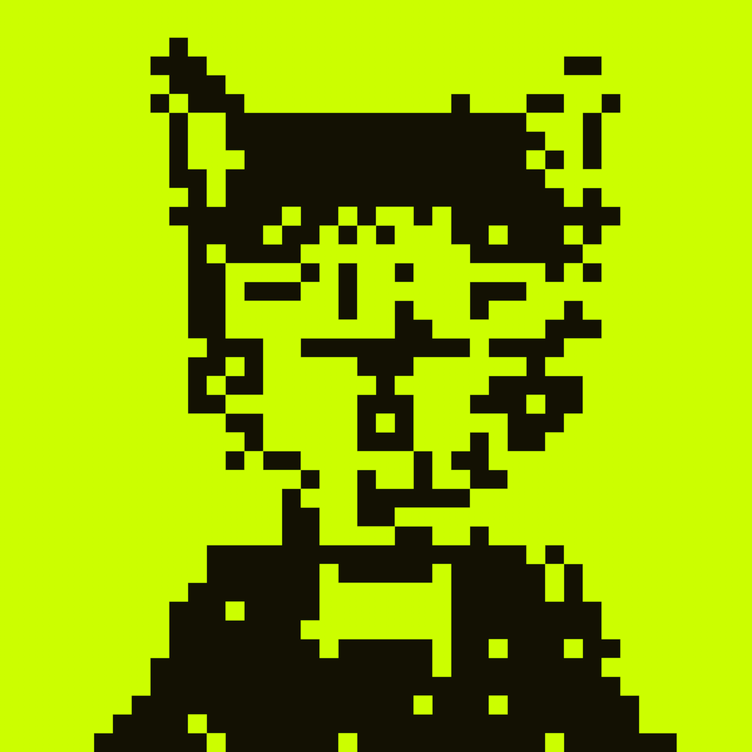 HoodCat #9876
