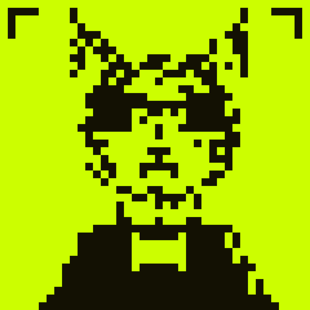 HoodCat #9930
