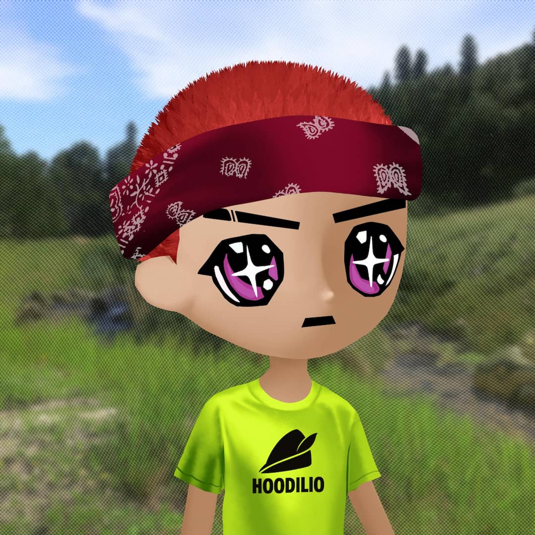 Hoodilio #849