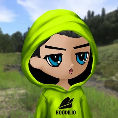 Hoodilio #862
