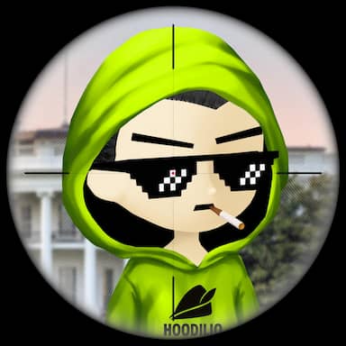 Hoodilio #2317