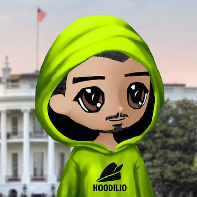 Hoodilio #2384