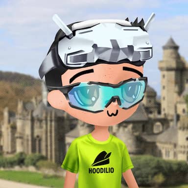 Hoodilio #978