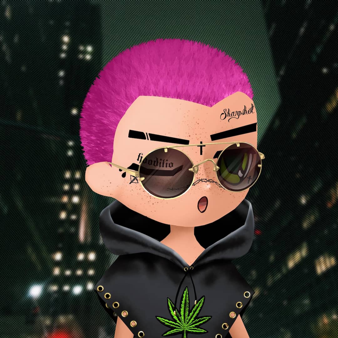 Hoodilio #307