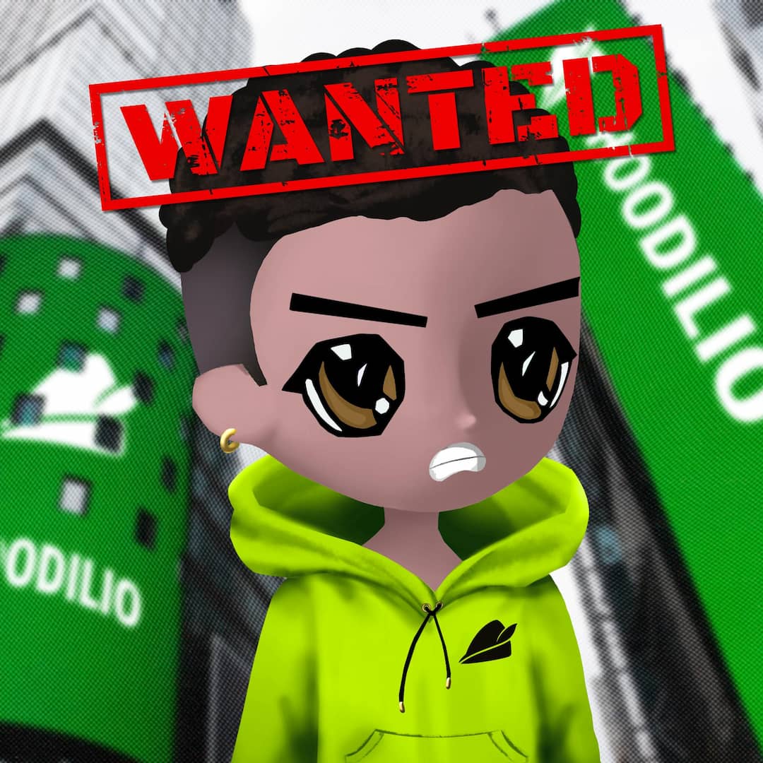 Hoodilio #333