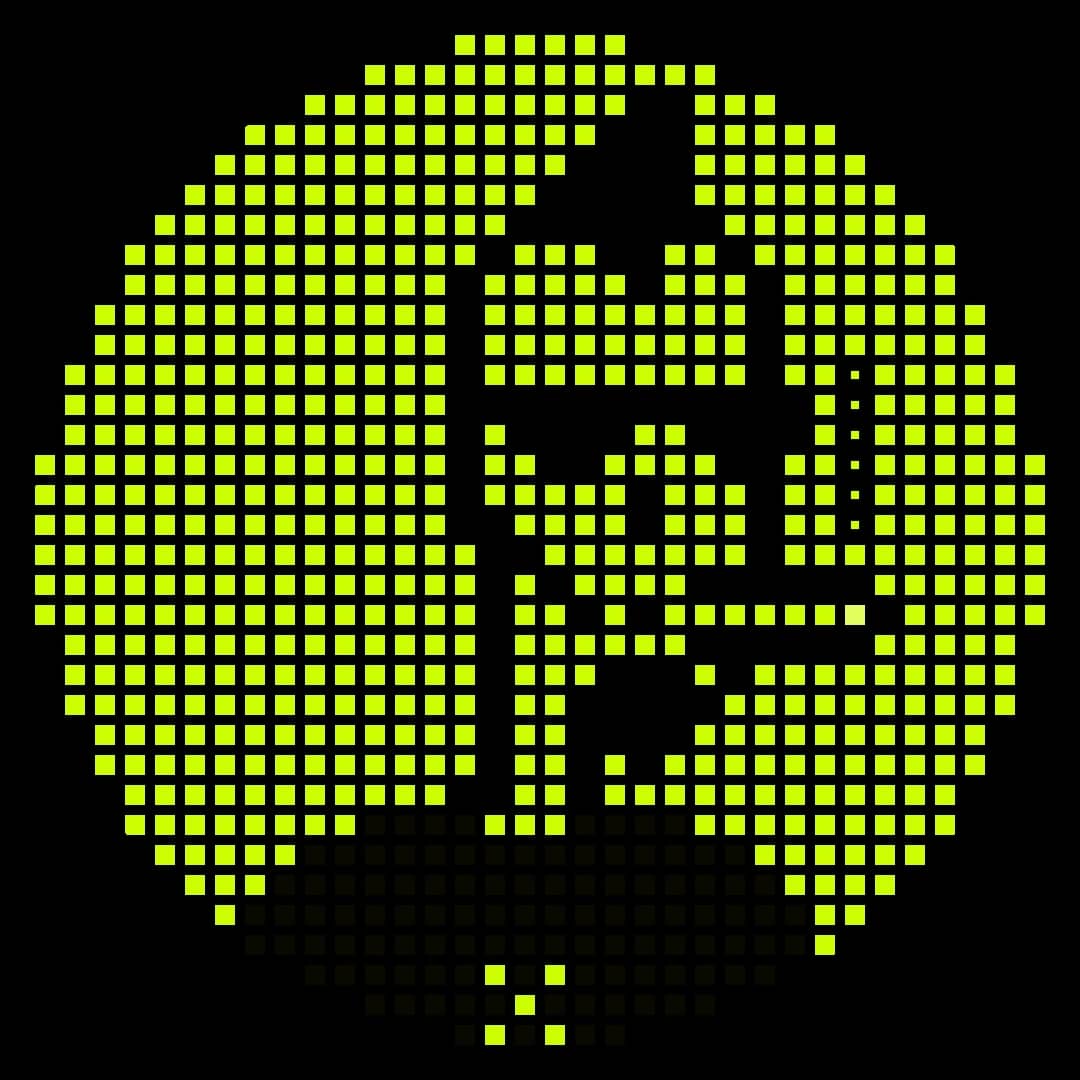 Rh Punks #1008