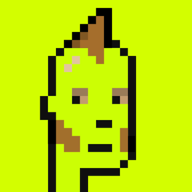 404 Origin Punk