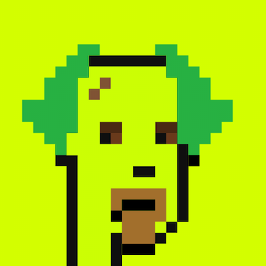 404 Origin Punk
