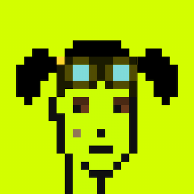 404 Origin Punk