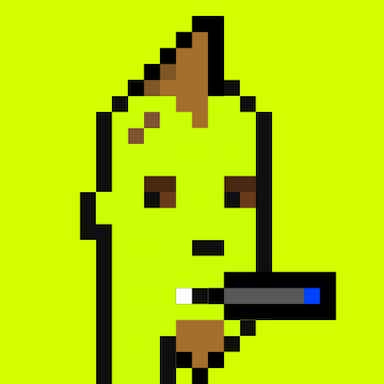 404 Origin Punk
