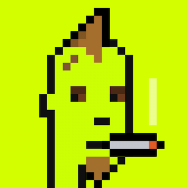 404 Origin Punk