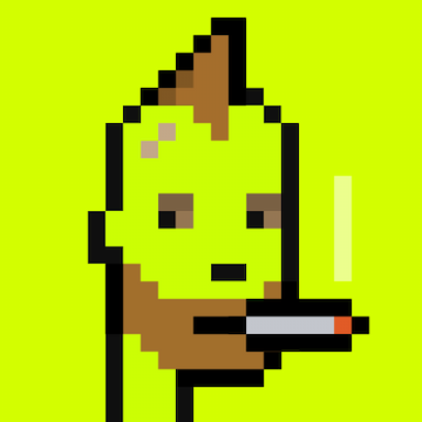 404 Origin Punk