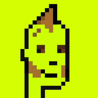 404 Origin Punk