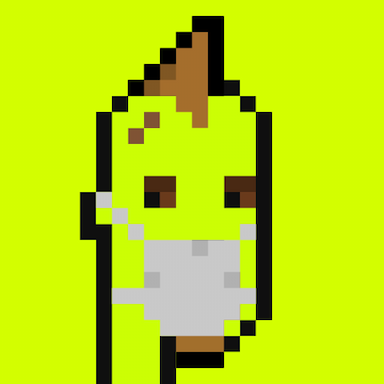 404 Origin Punk