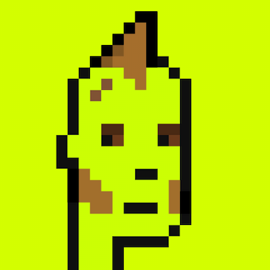 404 Origin Punk