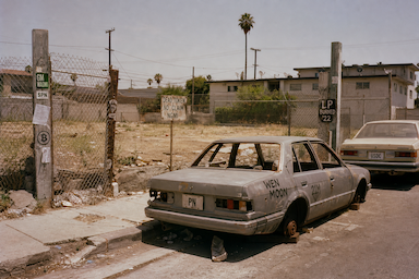 The Hood #1236