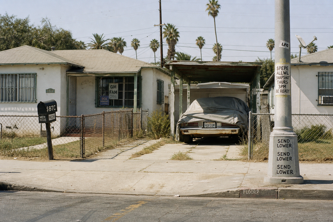 The Hood #1569