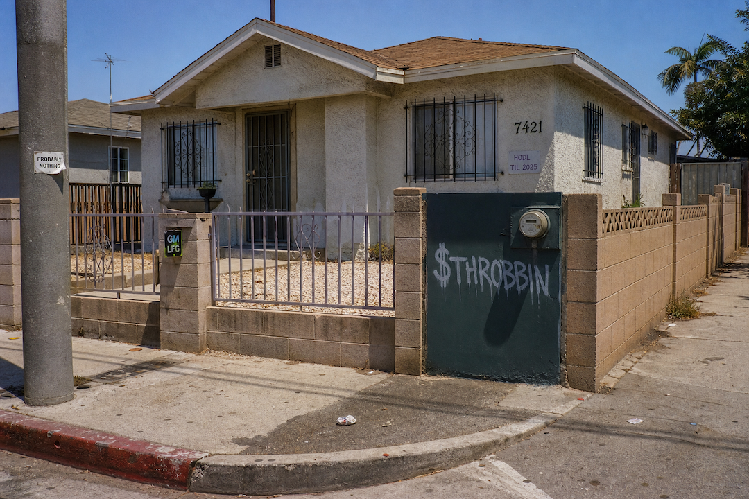The Hood #1393