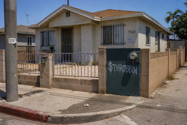 The Hood #1393