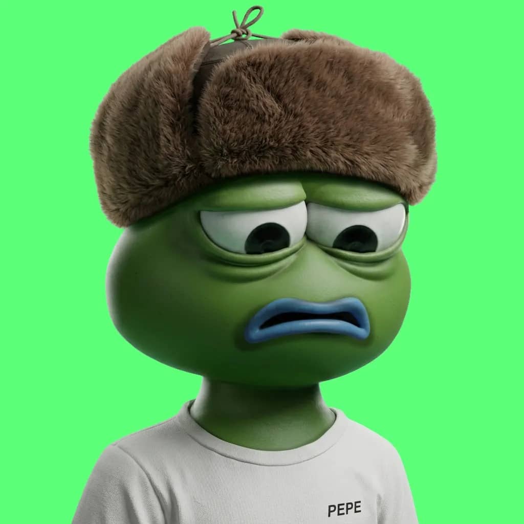 Hood $PEPE #1202