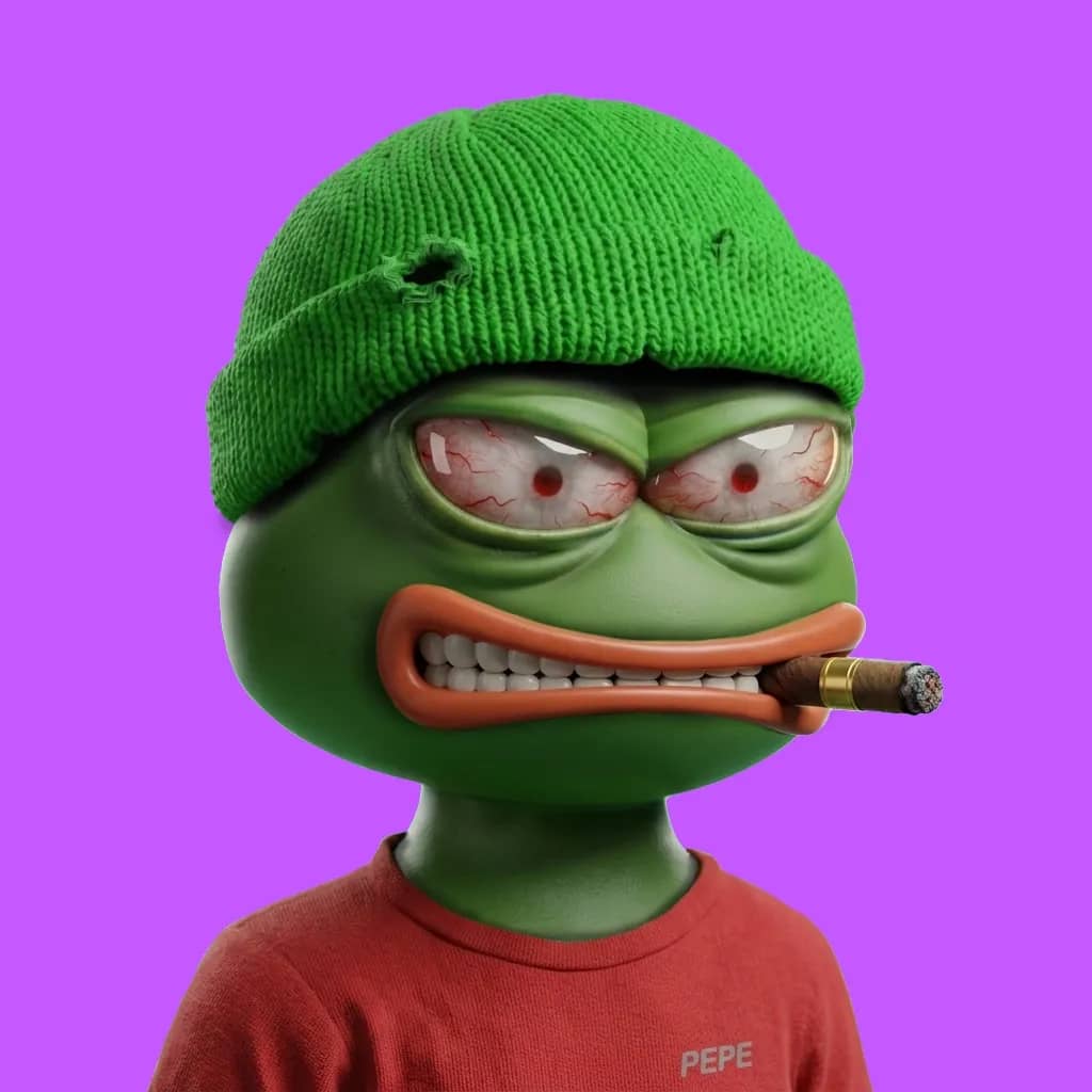 Hood $PEPE #1313