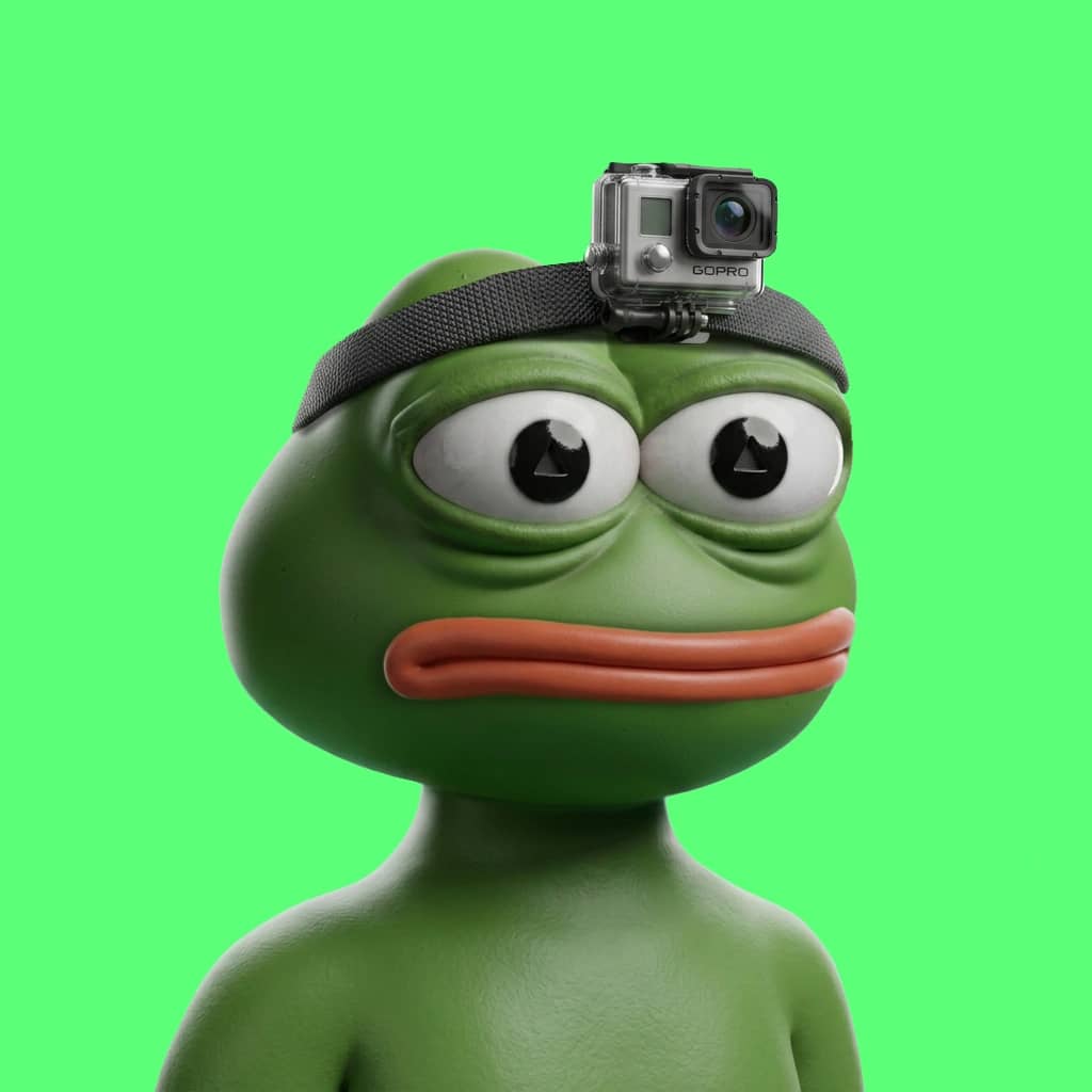 Hood $PEPE #1378