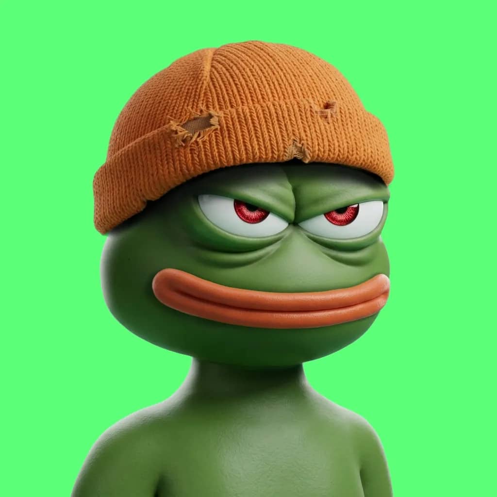 Hood $PEPE #1494