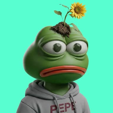 Hood $PEPE #1569