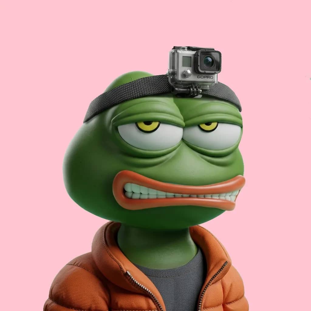 Hood $PEPE #1584