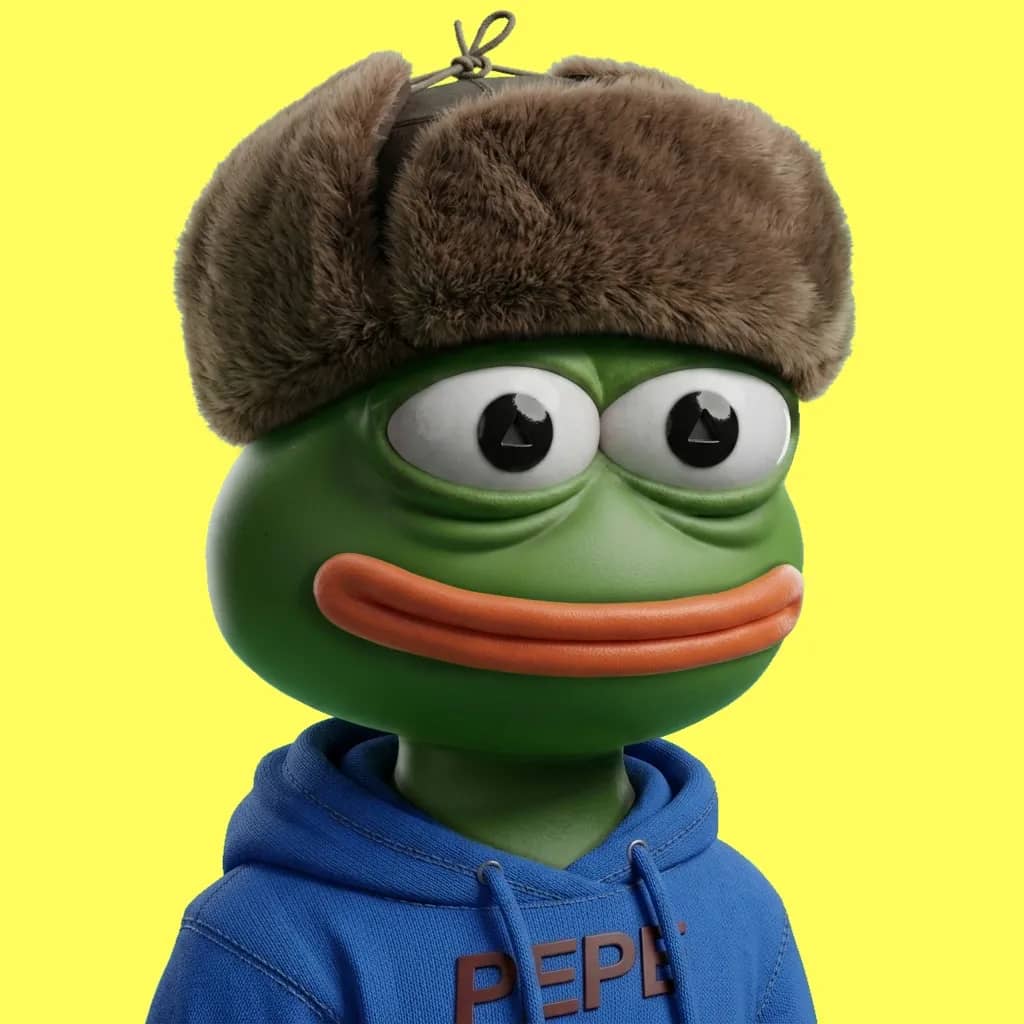 Hood $PEPE #1593