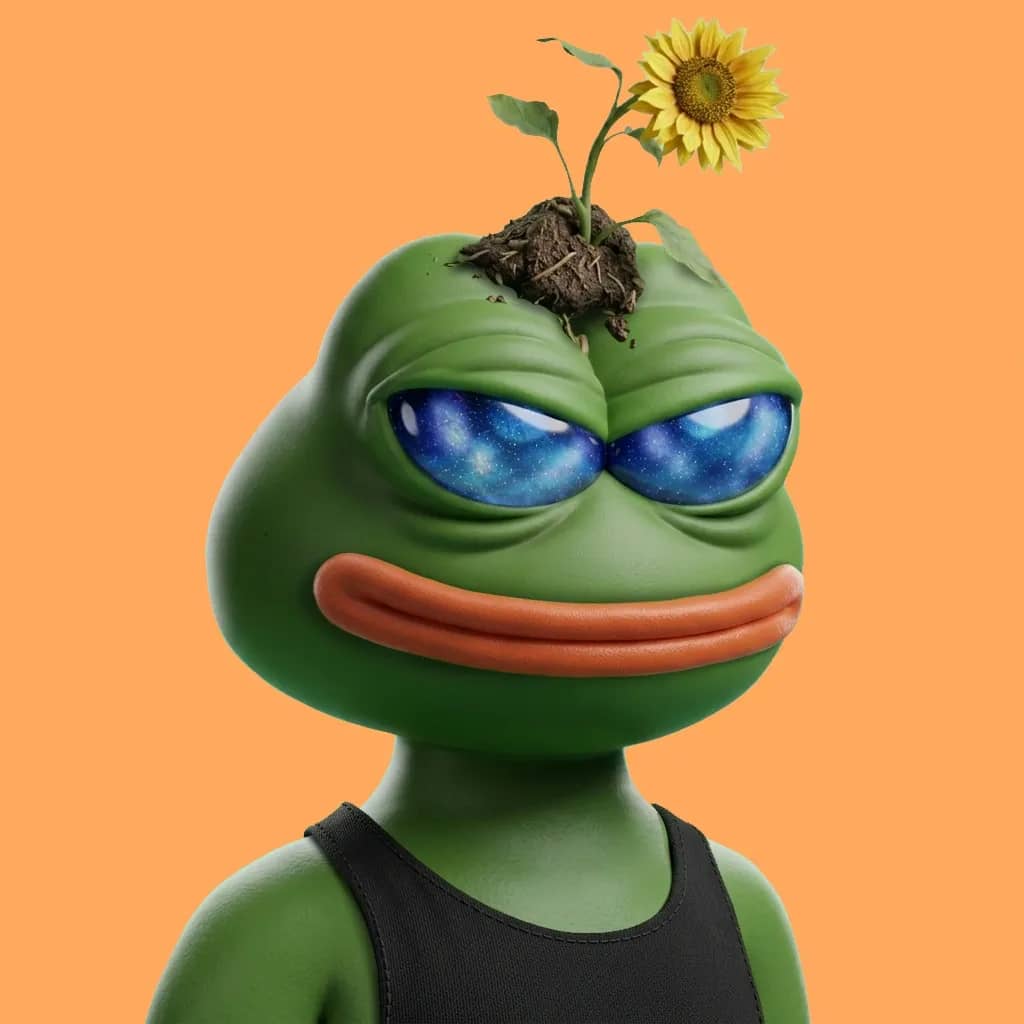 Hood $PEPE #1664