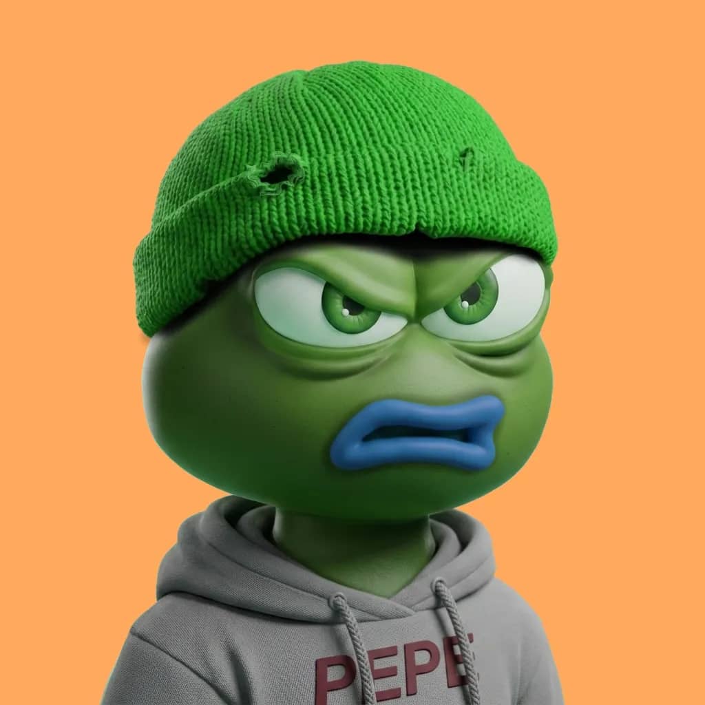 Hood $PEPE #1666