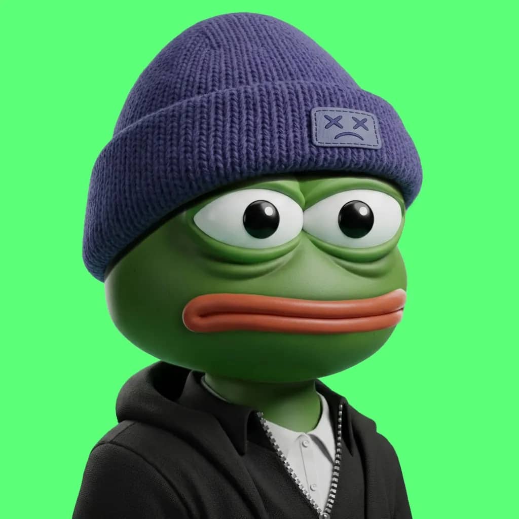 Hood $PEPE #1673