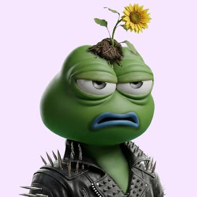 Hood $PEPE #1893