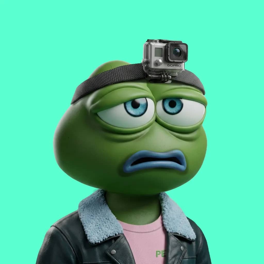 Hood $PEPE #2213