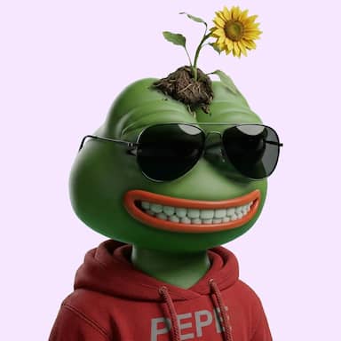Hood $PEPE #2541