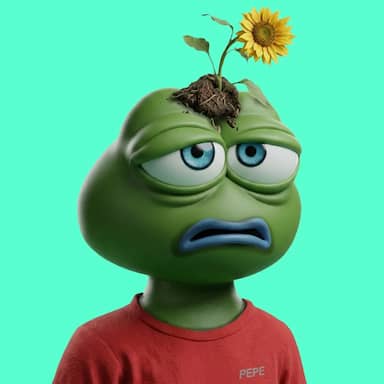 Hood $PEPE #305