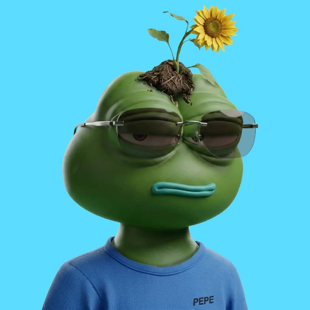 Hood $PEPE #3134