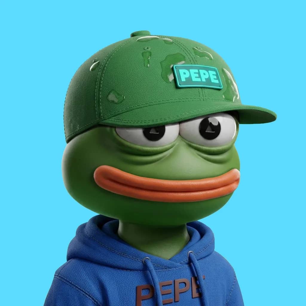 Hood $PEPE #991